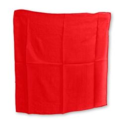 Standard Silk Scarf