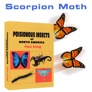 Scorpion Moth